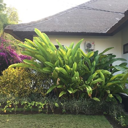 Villa Danison Umeanyar Екстер'єр фото